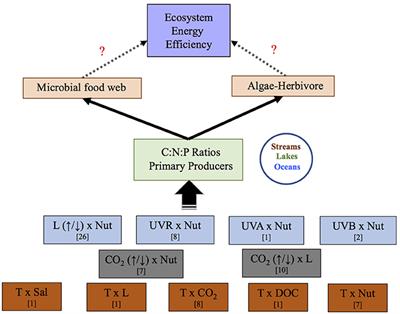 Predominant Non-additive Effects of Multiple Stressors on Autotroph C:N:P Ratios Propagate in Freshwater and Marine Food Webs